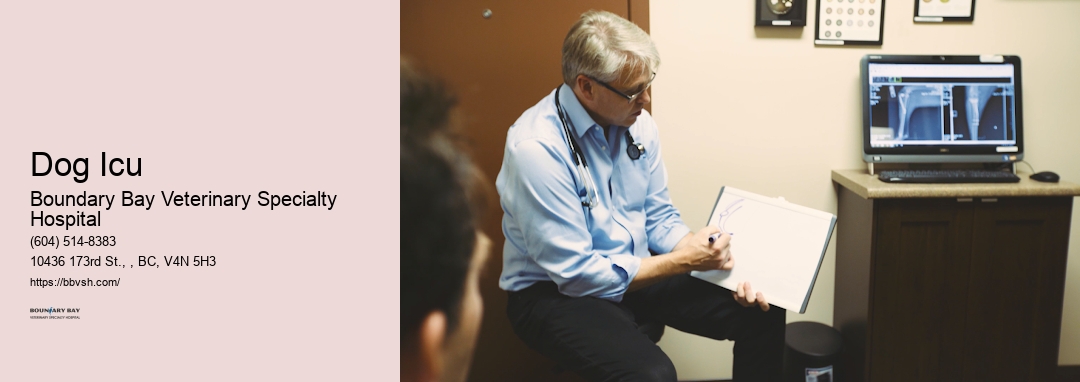 After-Hours Pet Icu Dog Icu Surrey