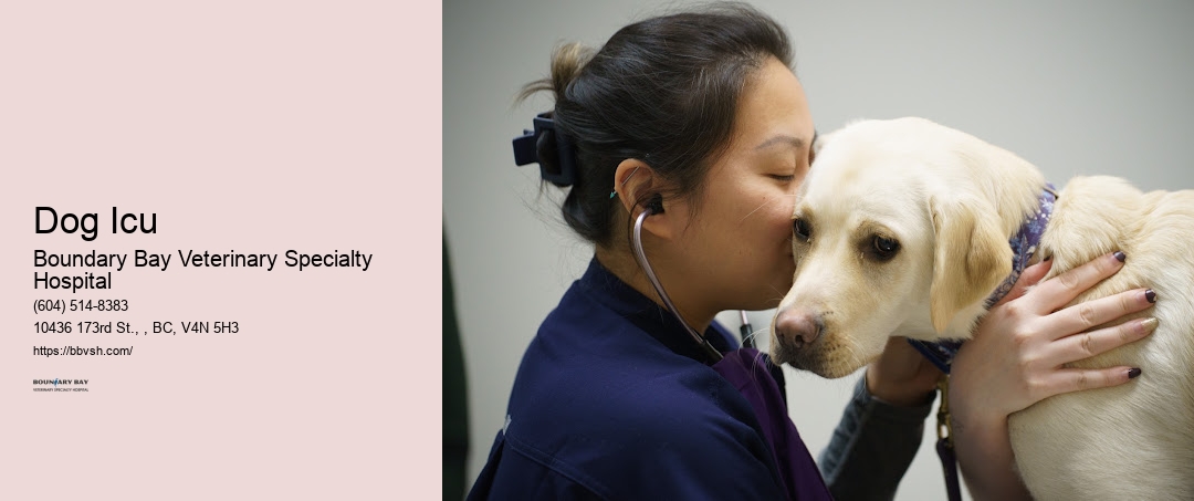Dog Icu Surrey