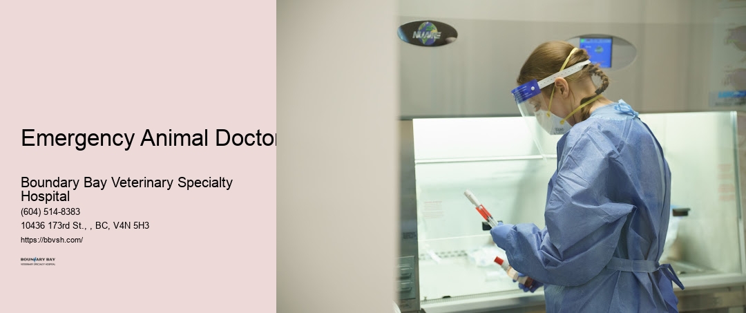 Emergency Animal Doctor Surrey Animal Urgent Care Clinic