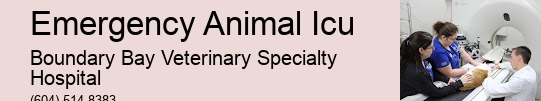 24-Hour Pet Medical Help Emergency Animal Icu Surrey