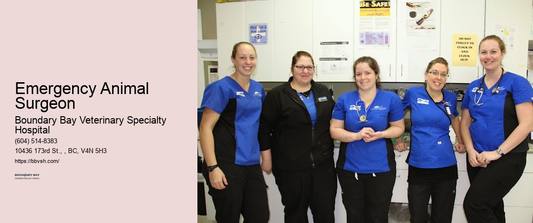 Emergency Pet Life Support Emergency Animal Surgeon Surrey