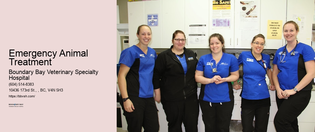 Urgent Pet Hospital Near Me Emergency Animal Treatment Surrey