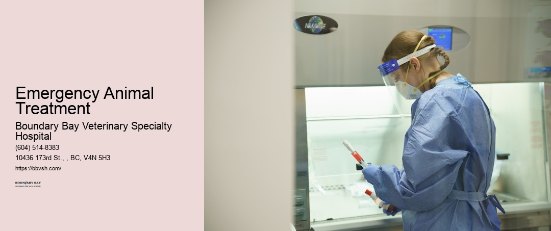 Animal Er Services 24/7 Emergency Animal Treatment Surrey