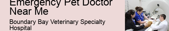 After-Hours Vet Emergency Pet Doctor Near Me Surrey