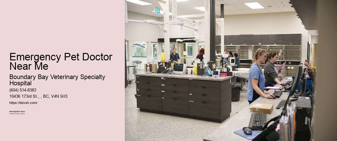 24-Hour Pet Support Emergency Pet Doctor Near Me Surrey