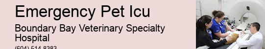 Emergency Dog Vet Near Me Emergency Pet Icu Surrey