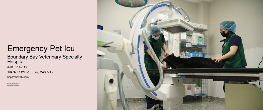 Emergency Pet Icu Surrey 24-Hour Animal Emergency Vet