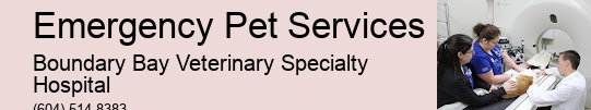 24-Hour Pet Doctor Near Me Emergency Pet Services Surrey