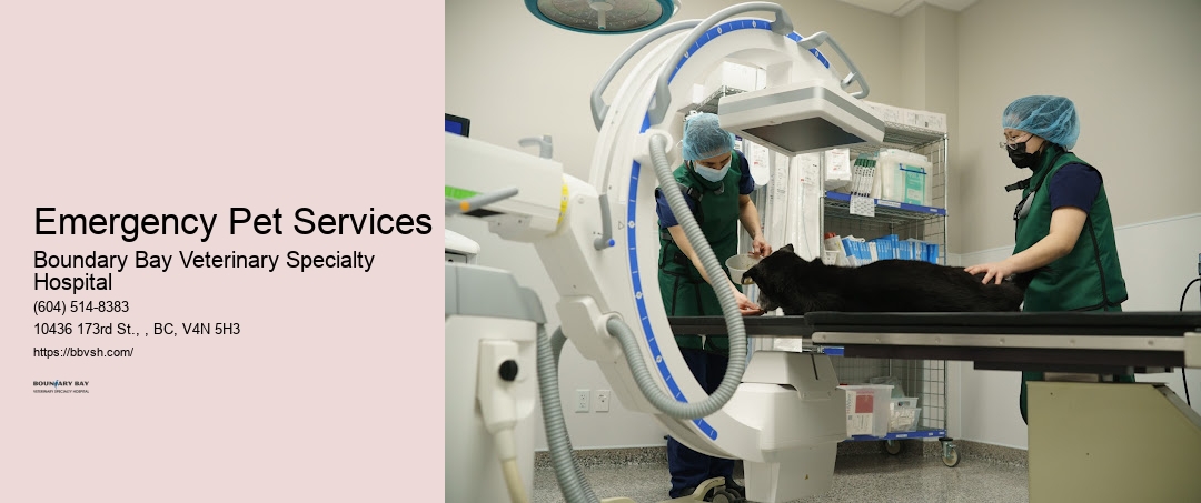 Urgent Pet Er Emergency Pet Services Surrey