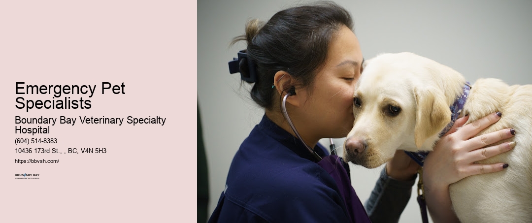 Emergency Pet Specialists Surrey