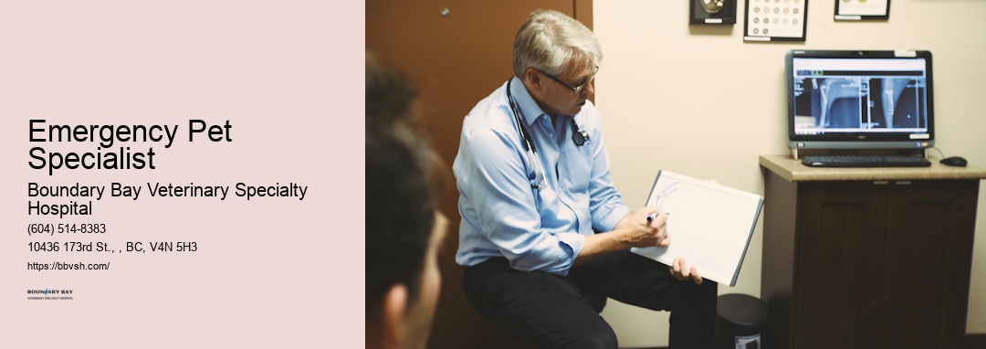 Animal Hospital Emergency Emergency Pet Specialist Surrey