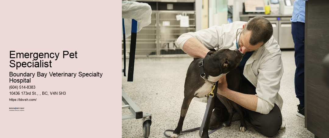 Animal Er Emergency Pet Specialist Surrey