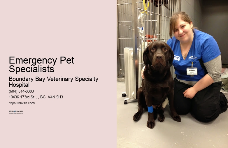 Animal Critical Care Near Me Emergency Pet Specialists Surrey