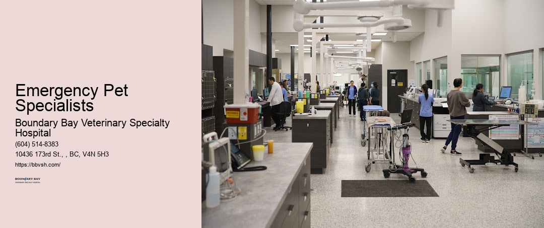 24-Hour Dog Hospital Emergency Pet Specialists Surrey