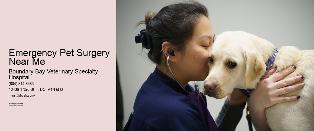 Emergency Pet Surgery Near Me Surrey