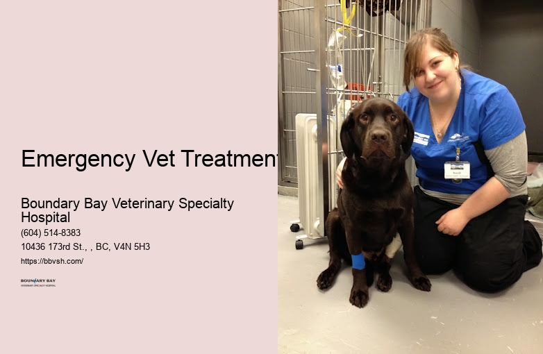 24-Hour Dog Emergency Emergency Vet Treatment Surrey