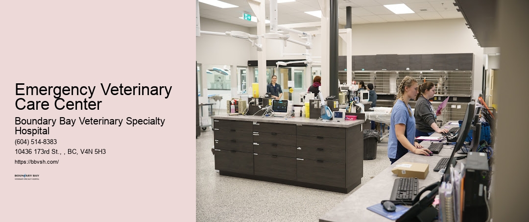 Emergency Veterinary Care Center Surrey Critical Pet Hospital