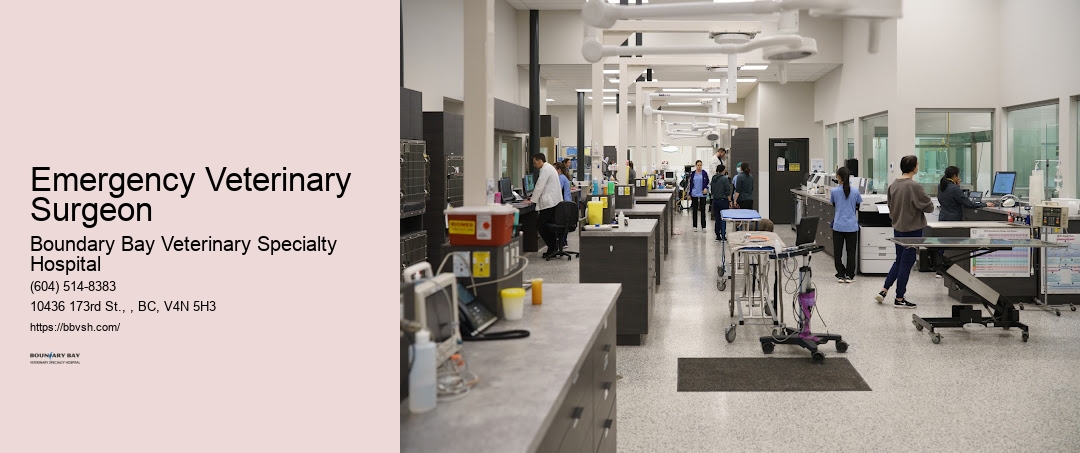 24-Hour Vet Hospital For Dogs Emergency Veterinary Surgeon Surrey