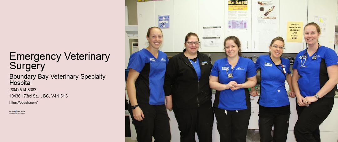 Pet Doctor Emergency Emergency Veterinary Surgery Surrey