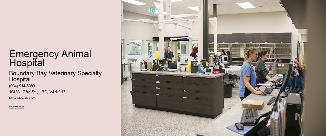 24/7 Animal Care Emergency Animal Hospital Surrey