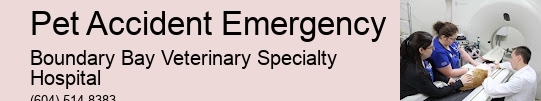 Pet First Aid Emergency Pet Accident Emergency Surrey