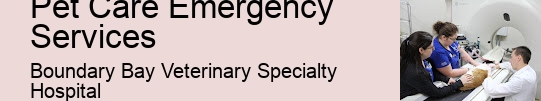 24/7 Pet Life-Saving Doctor Pet Care Emergency Services Surrey