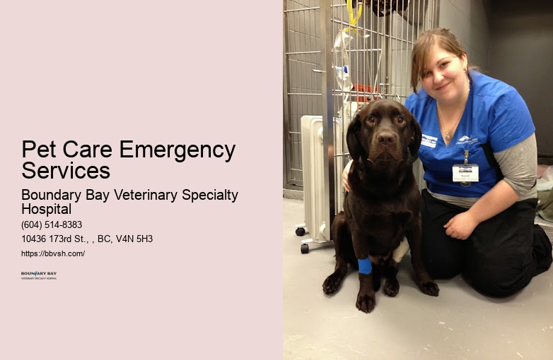 Urgent Animal Trauma Services Pet Care Emergency Services Surrey