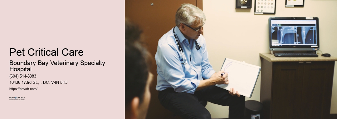 Emergency Animal Icu Pet Critical Care Surrey