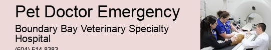 Pet Trauma Clinic 24/7 Pet Doctor Emergency Surrey