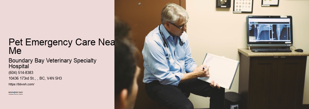 Pet Emergency Care Near Me Surrey Emergency Cat Clinic