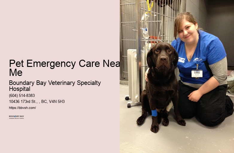 Pet Icu Services Pet Emergency Care Near Me Surrey