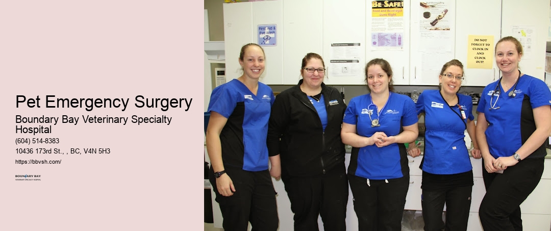 24-Hour Emergency Clinic For Pets Pet Emergency Surgery Surrey
