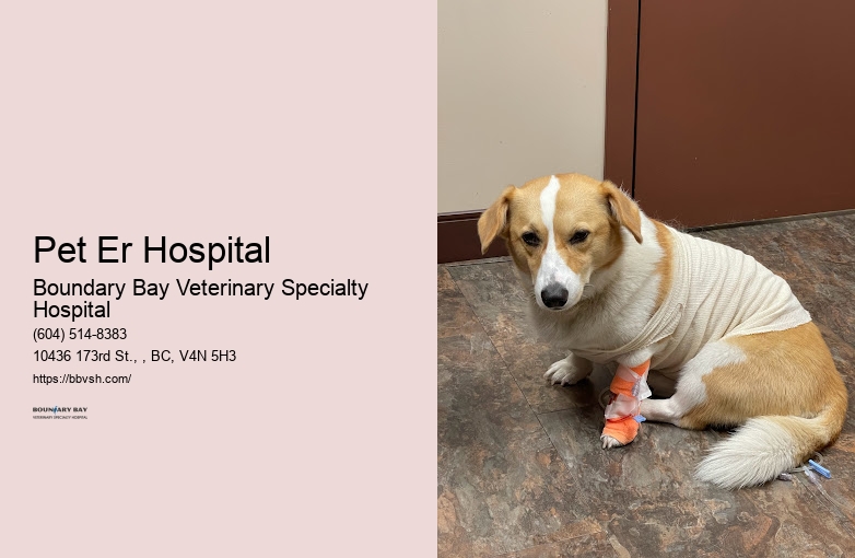 Emergency Vet Hospital Pet Er Hospital Surrey