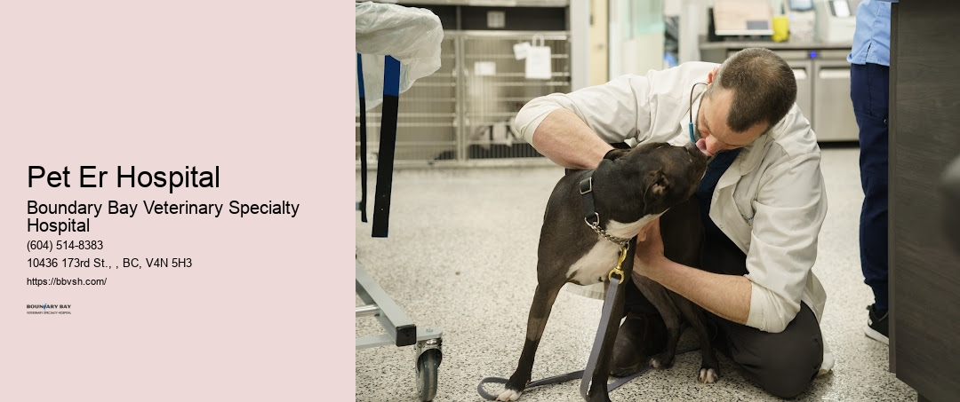 Pet Emergency Medical Care Pet Er Hospital Surrey
