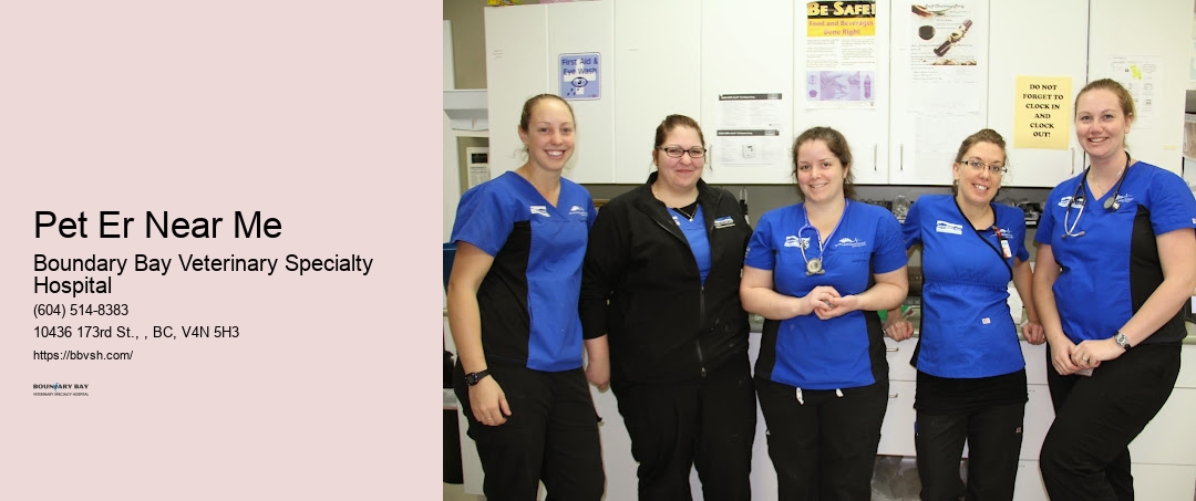 Animal Hospital Emergency Care Pet Er Near Me Surrey
