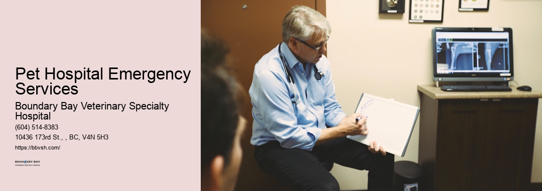 24/7 Emergency Dog Clinic Pet Hospital Emergency Services Surrey