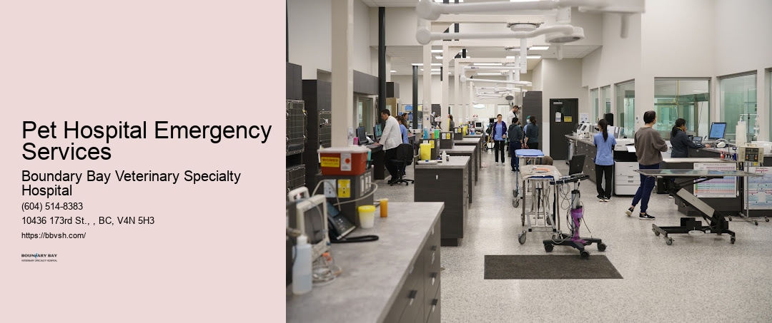 Pet Hospital Emergency Services Surrey 24-Hour Vet Emergency Care