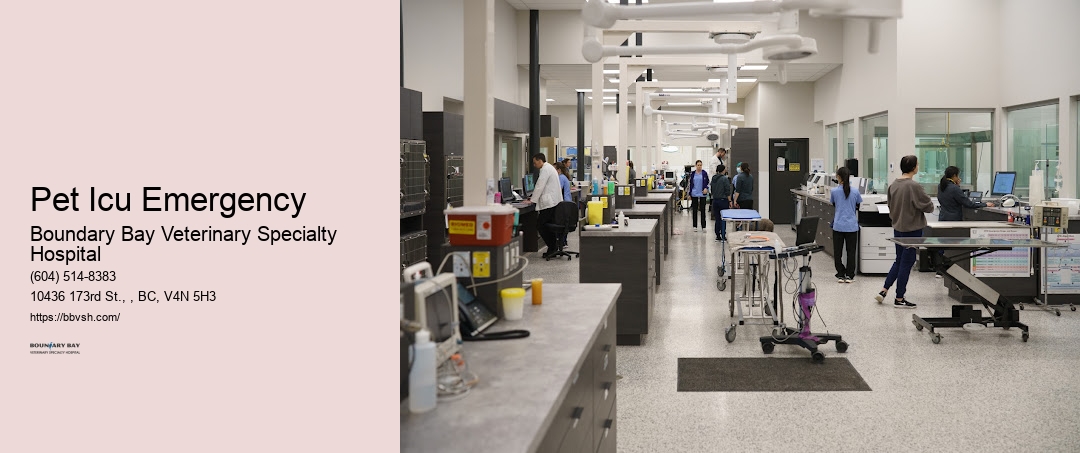 After-Hours Animal Hospital Pet Icu Emergency Surrey