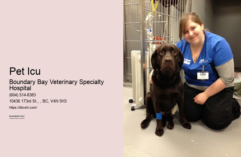 Veterinary Emergency Services Pet Icu Surrey