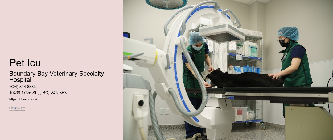Urgent Pet Care Near Me Pet Icu Surrey