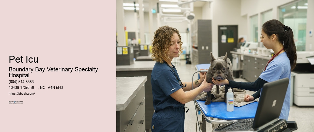 Pet Icu Surrey Pet Er