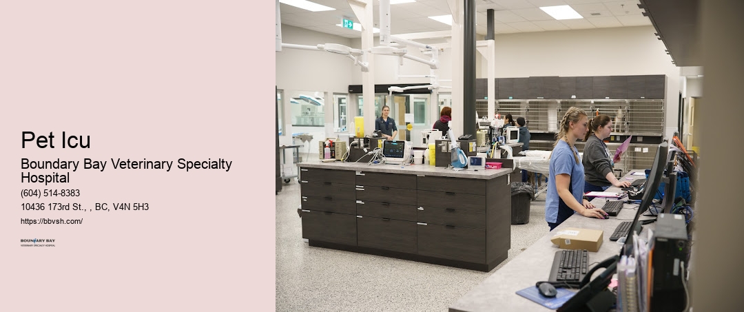 Pet Intensive Care Unit Pet Icu Surrey