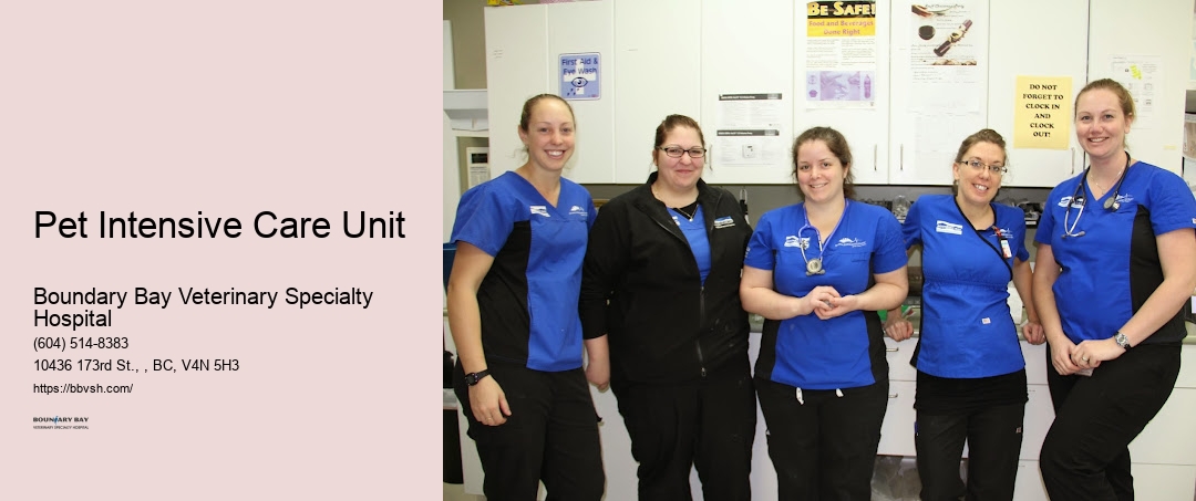 Pet Intensive Care Unit Surrey Vet Critical Care
