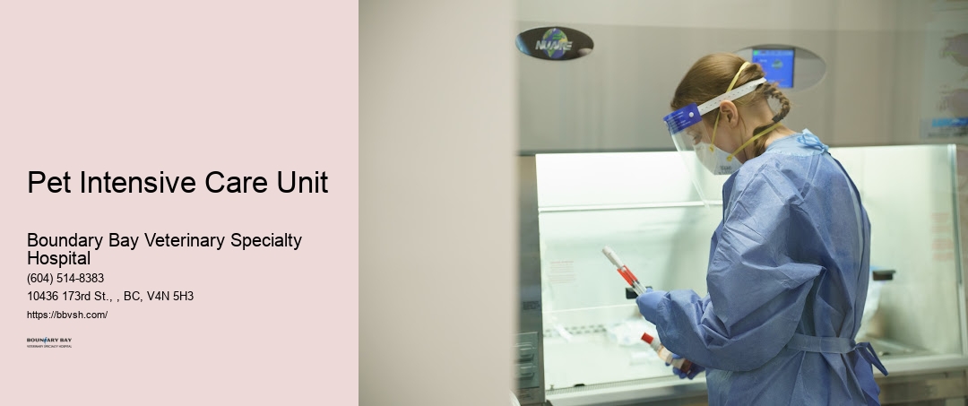 Pet Care Emergency Services Pet Intensive Care Unit Surrey