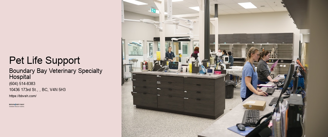 Pet Urgent Care Vet Pet Life Support Surrey