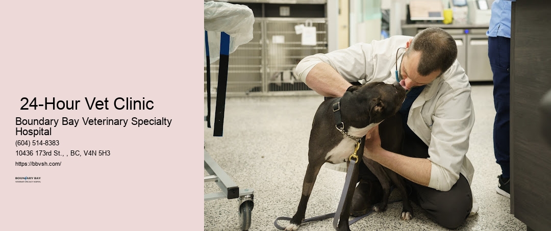 Emergency Pet Doctor Near Me Surrey 24-Hour Vet Clinic