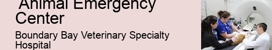 Emergency Pet Doctor Surrey Animal Emergency Center