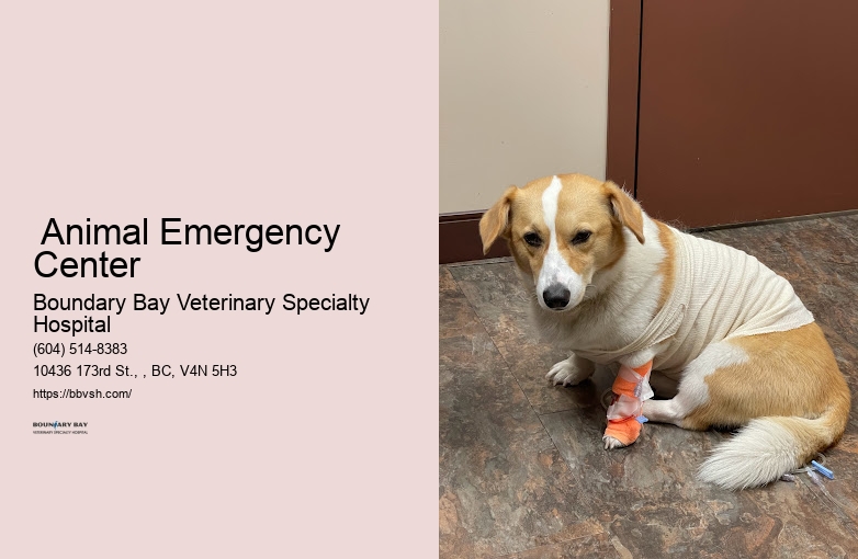 Vet Open Late Surrey Animal Emergency Center