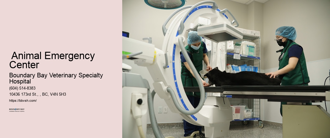 24-Hour Pet Help Surrey Animal Emergency Center