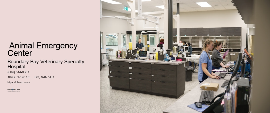 Emergency Pet Care Near Me Surrey Animal Emergency Center